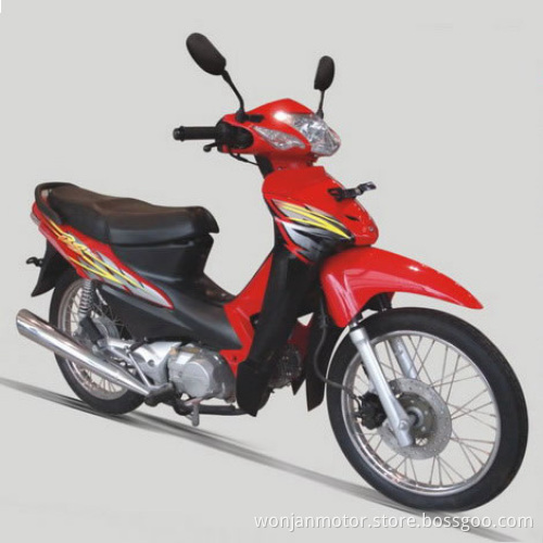 Asian Tiger (WJ110III)
